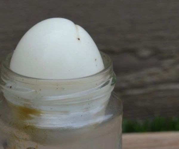 egg in a bottle experiment